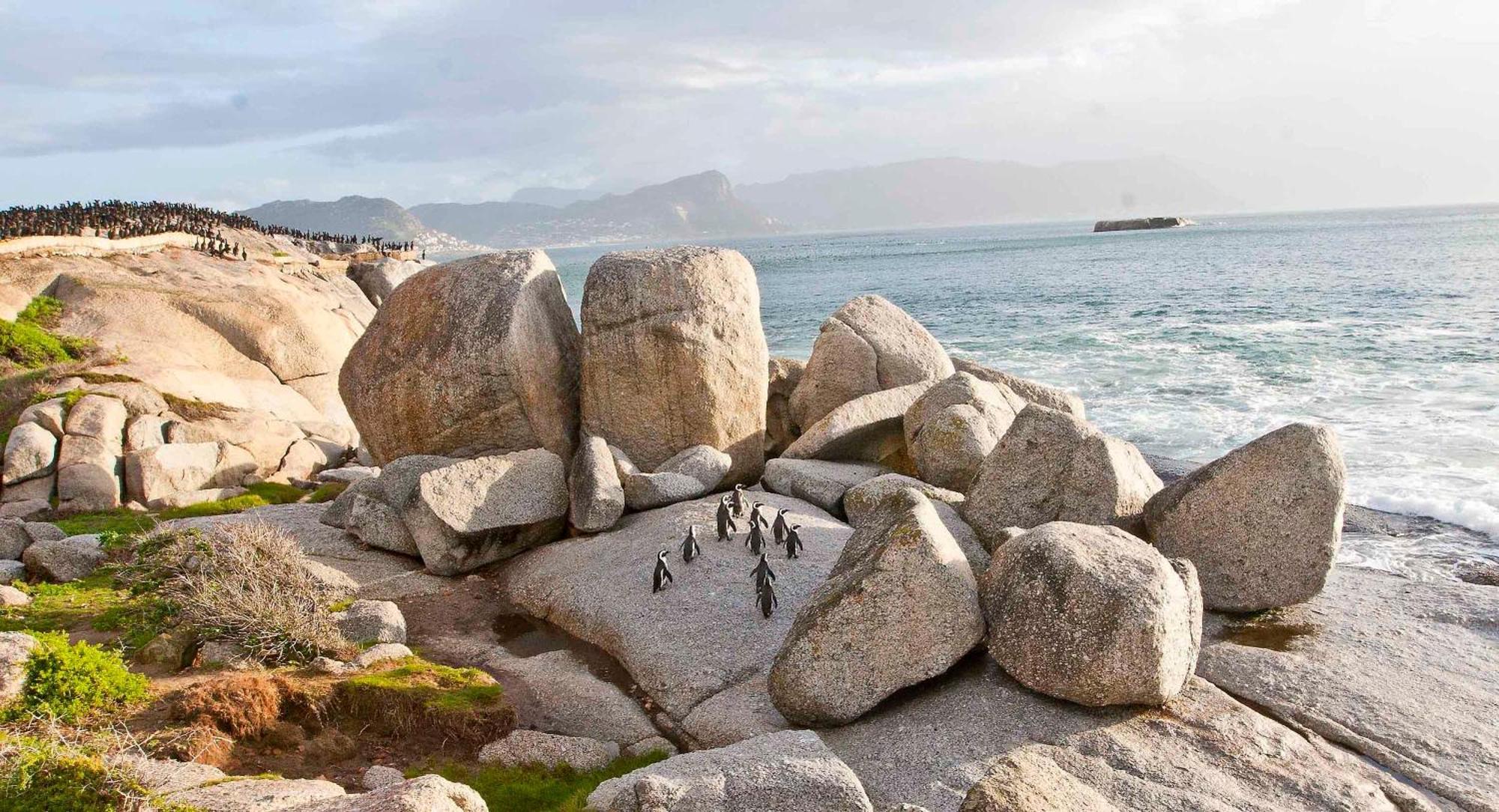 Avian Leisure Apartment Simon's Town Luaran gambar