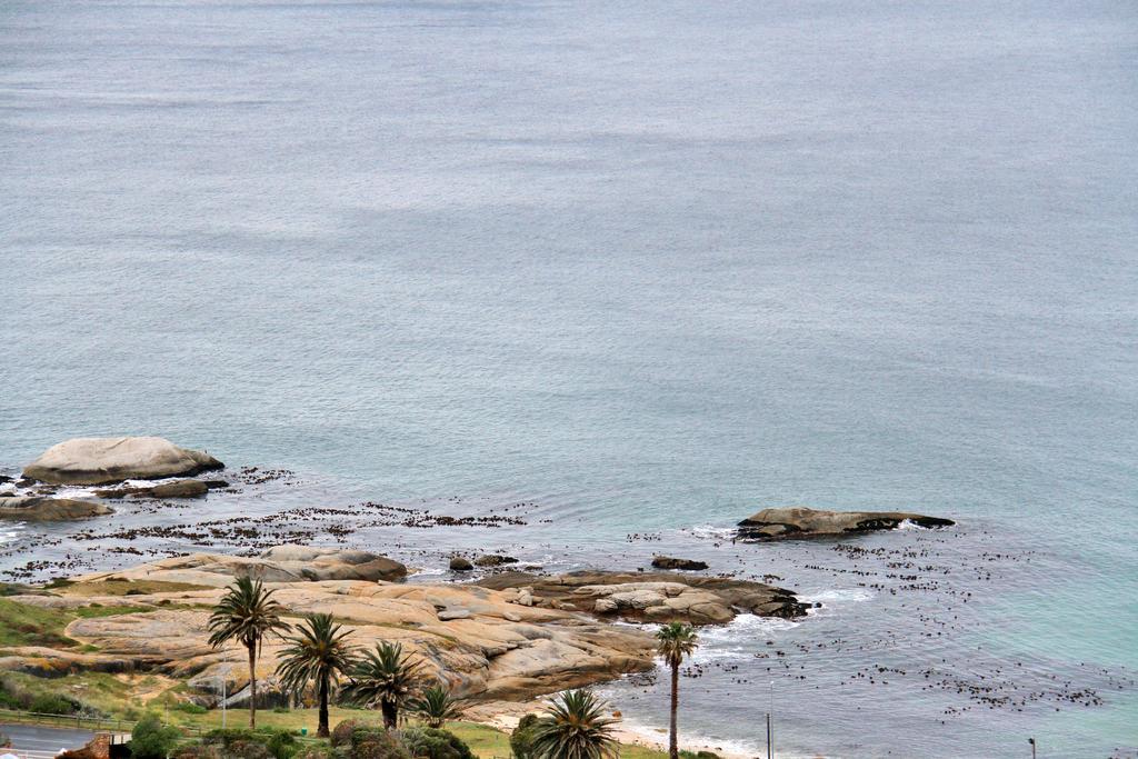 Avian Leisure Apartment Simon's Town Luaran gambar